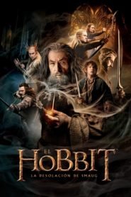 El Hobbit 2: La Desolación de Smaug (The Hobbit: The Desolation of Smaug)