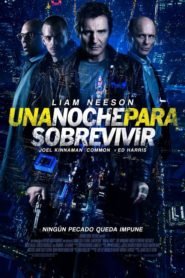 Una Noche para Sobrevivir (Run All Night)
