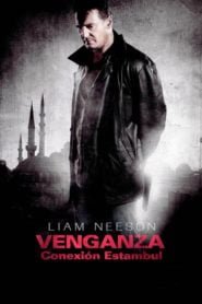 Búsqueda Implacable 2: Conexión Estambul (Taken 2)