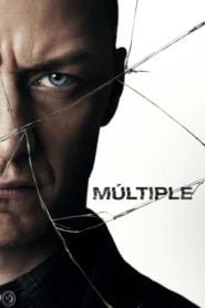 Fragmentado (Split)