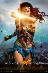 Mujer Maravilla 1 (Wonder Woman)