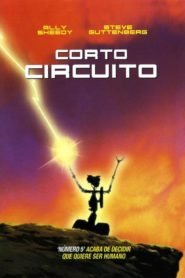 Cortocircuito 1 (Short Circuit)