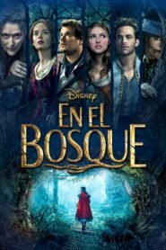 En el Bosque (Into the Woods)