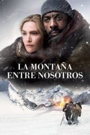 Más Allá de la Montaña (The Mountain Between Us)