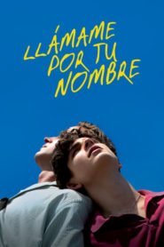 Llámame por tu Nombre (Call Me by Your Name)