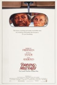 El Chofer y La Señora Daisy (Driving Miss Daisy)