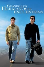 Cuando los Hermanos se Encuentran (Rain Man)