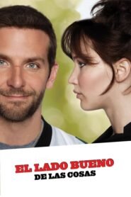 El Lado Bueno de las Cosas (Silver Linings Playbook)