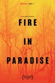 Paradise en Llamas (Fire in Paradise)