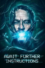 Espera por Instrucciones (Await Further Instructions)