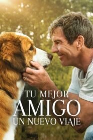 La Razón de Estar Contigo 2: Un Nuevo Viaje (A Dog’s Journey)