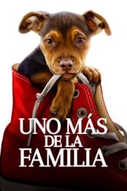 Mis Huellas a Casa (A Dog’s Way Home)
