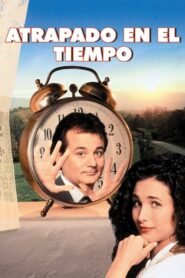 El Día de la Marmota (Groundhog Day)