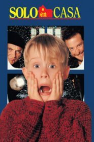 Mi Pobre Angelito 1 (Home Alone)