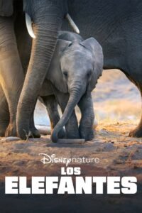 Los Elefantes (Elephant)