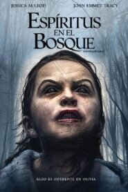 Espíritus en el Bosque (The Hollow Child)