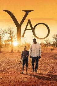 El Viaje de Yao