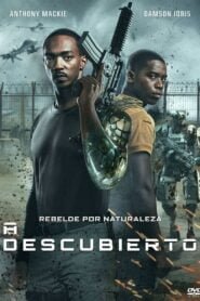 Zona de Riesgo (Outside the Wire)
