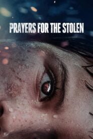 Noche de Fuego (Prayers for the Stolen)