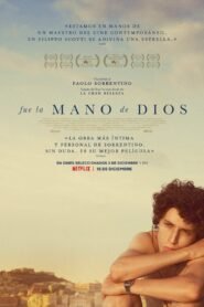 Fue la Mano de Dios (The Hand of God)