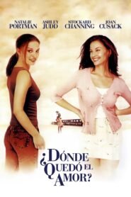 ¿Dónde Quedó el Amor? (Where the Heart Is)
