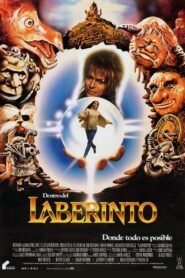 Dentro del Laberinto (Labyrinth)