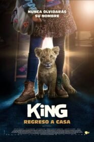 King: Regreso a Casa