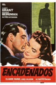 Tuyo es mi Corazón (Notorious)