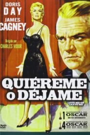 Amame o Déjame (Love Me or Leave Me)