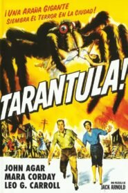Tarántula  (Tarantula)