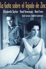 Un Gato sobre el Tejado Caliente (Cat on a Hot Tin Roof)