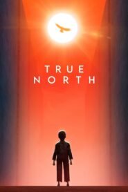 El Verdadero Norte (True North)