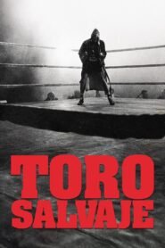 Toro Salvaje (Raging Bull)