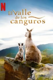 En el Valle de los Canguros (Kangaroo Valley)