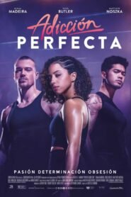 Adicción Perfecta (Perfect Addiction)