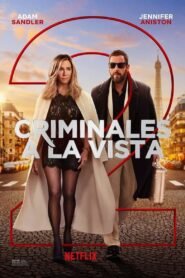 Misterio a la Vista (Murder Mystery 2)