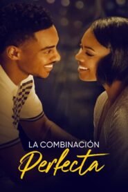 La Combinación Perfecta (The Perfect Find)