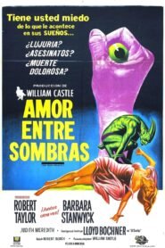 Amor entre Sombras (The Night Walker)