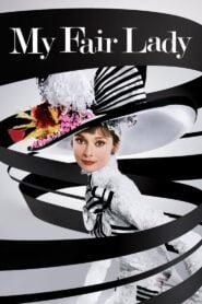 Mi Bella Dama (My Fair Lady)
