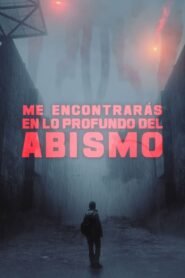 Me Encontrarás en lo Profundo del Abismo (Into the Abyss)