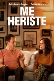 Me Heriste (You Hurt My Feelings)